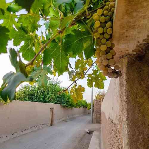 محمد حسین زاده عمره خه من کلی داسر هیچ و پوچ